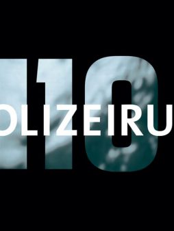 POLIZEIRUF 110