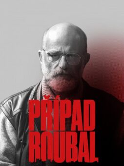 PŘÍPAD ROUBAL